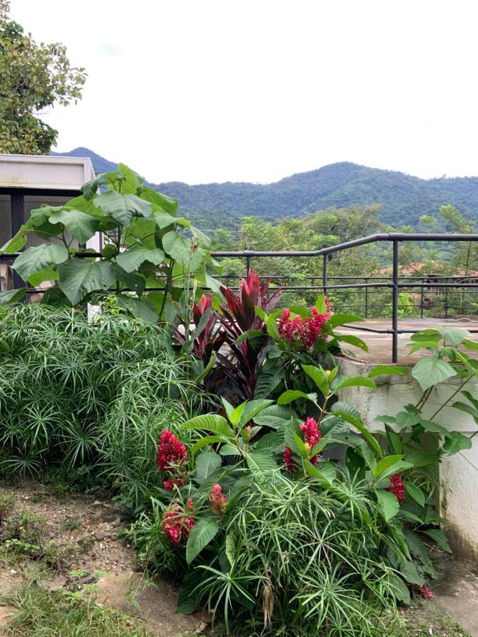 Minca Seasons Birds Hostel Exterior foto